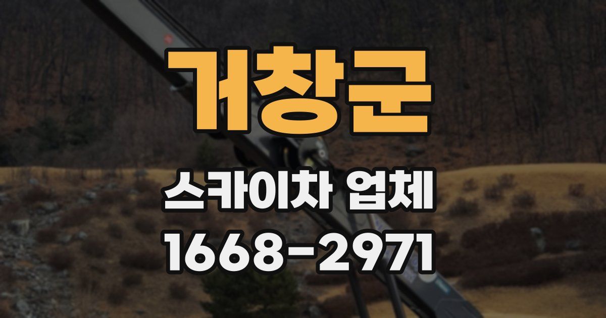 거창군 스카이차 업체
