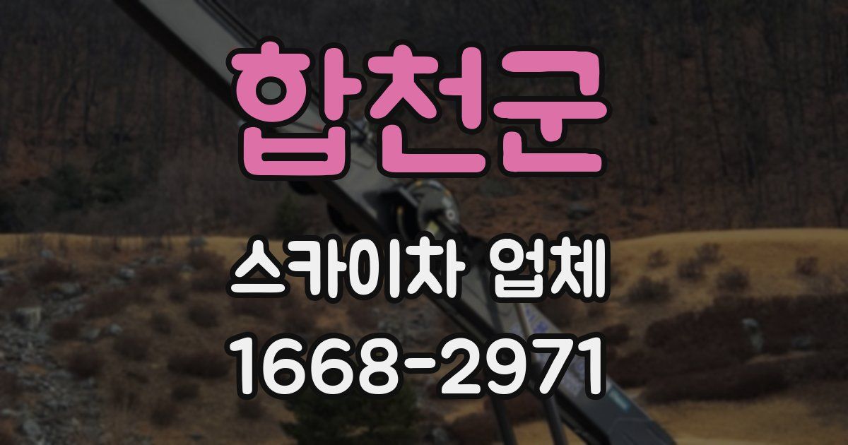 합천군 스카이차 업체