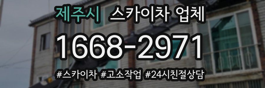 제주시 스카이차 업체