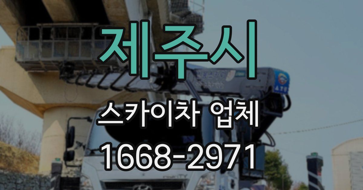 제주시 스카이차 업체