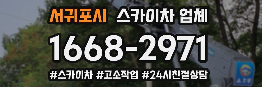 서귀포시 스카이차 업체