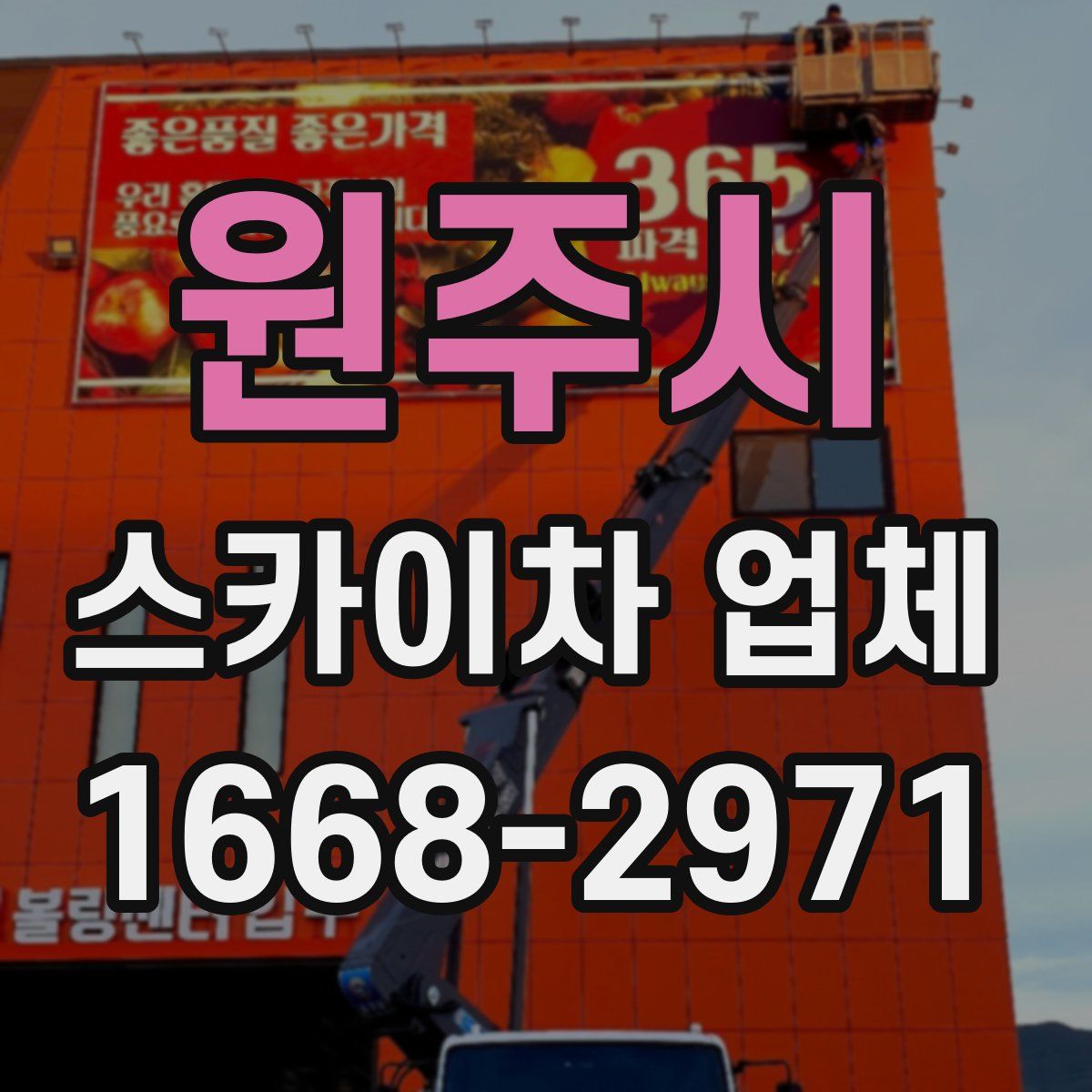 원주시 스카이차 업체