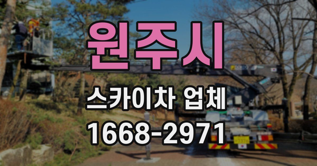 원주시 스카이차 업체