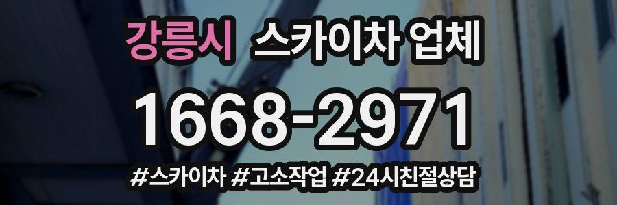 강릉시 스카이차 업체