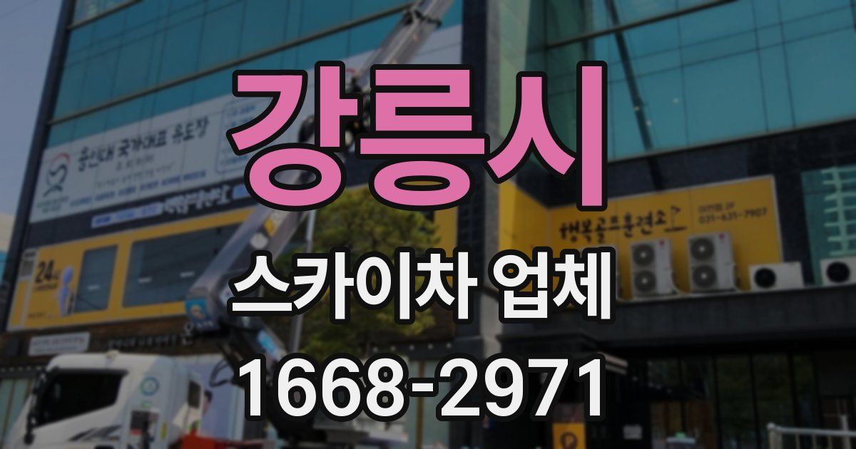 강릉시 스카이차 업체