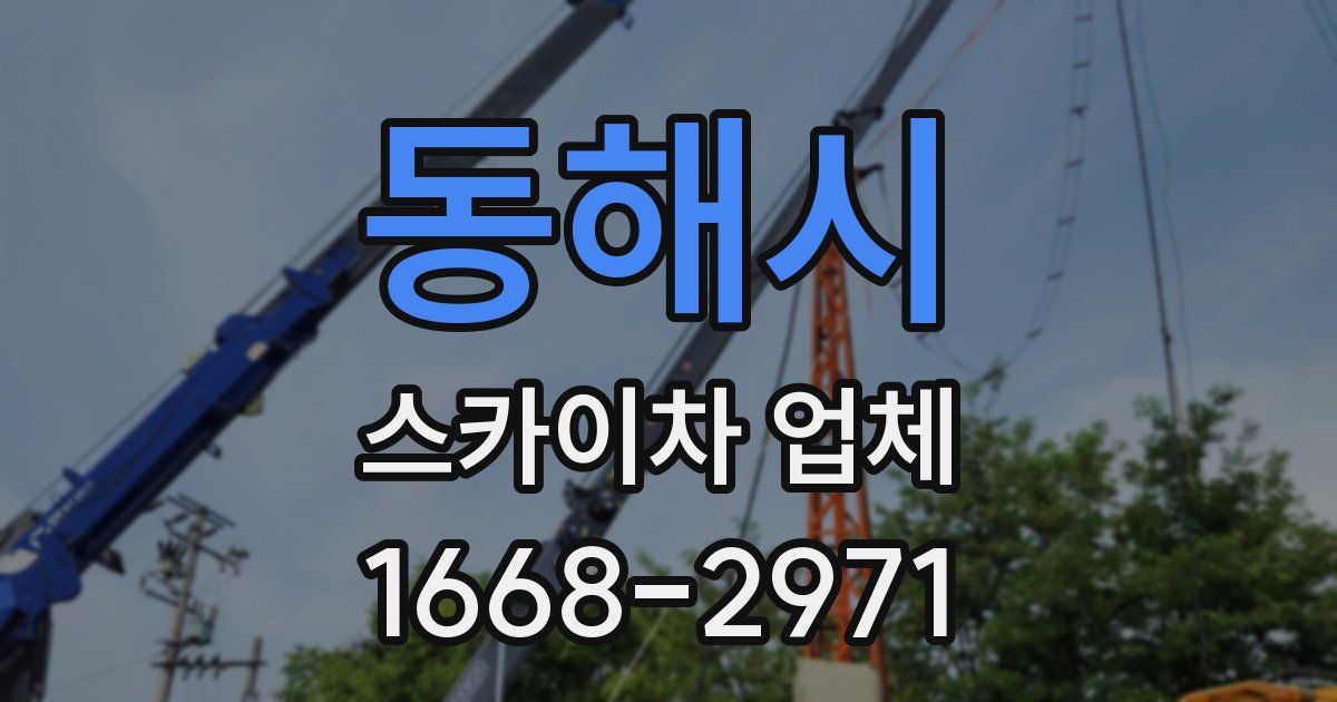 동해시 스카이차 업체