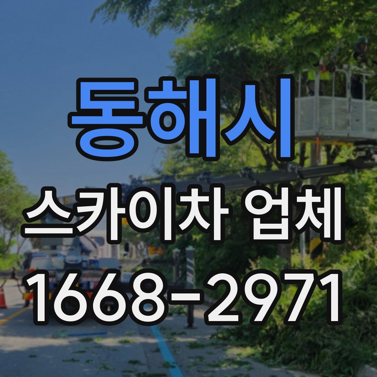 동해시 스카이차 업체