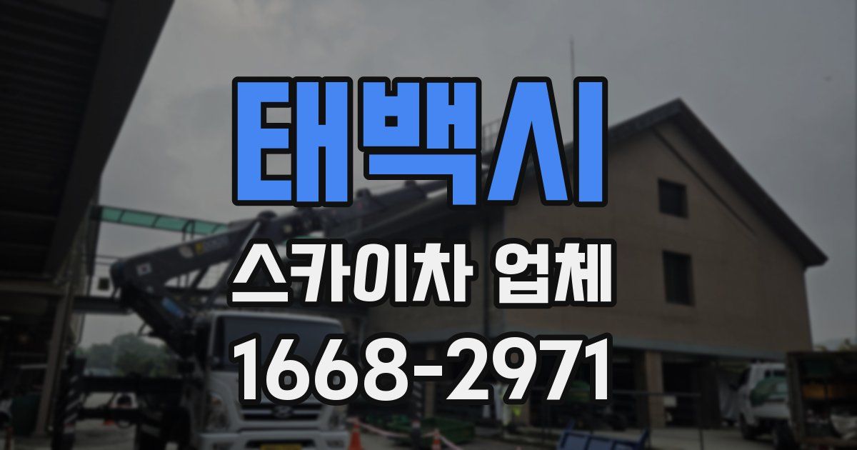 태백시 스카이차 업체