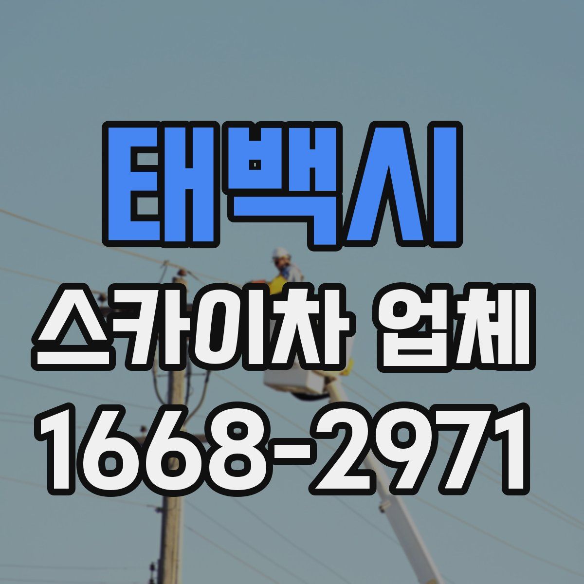 태백시 스카이차 업체