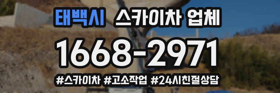 태백시 스카이차 업체