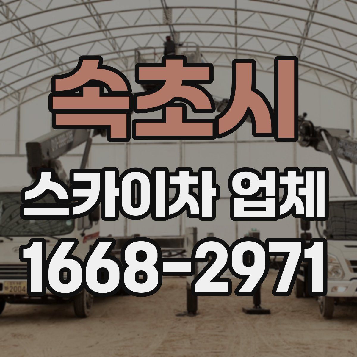 속초시 스카이차 업체