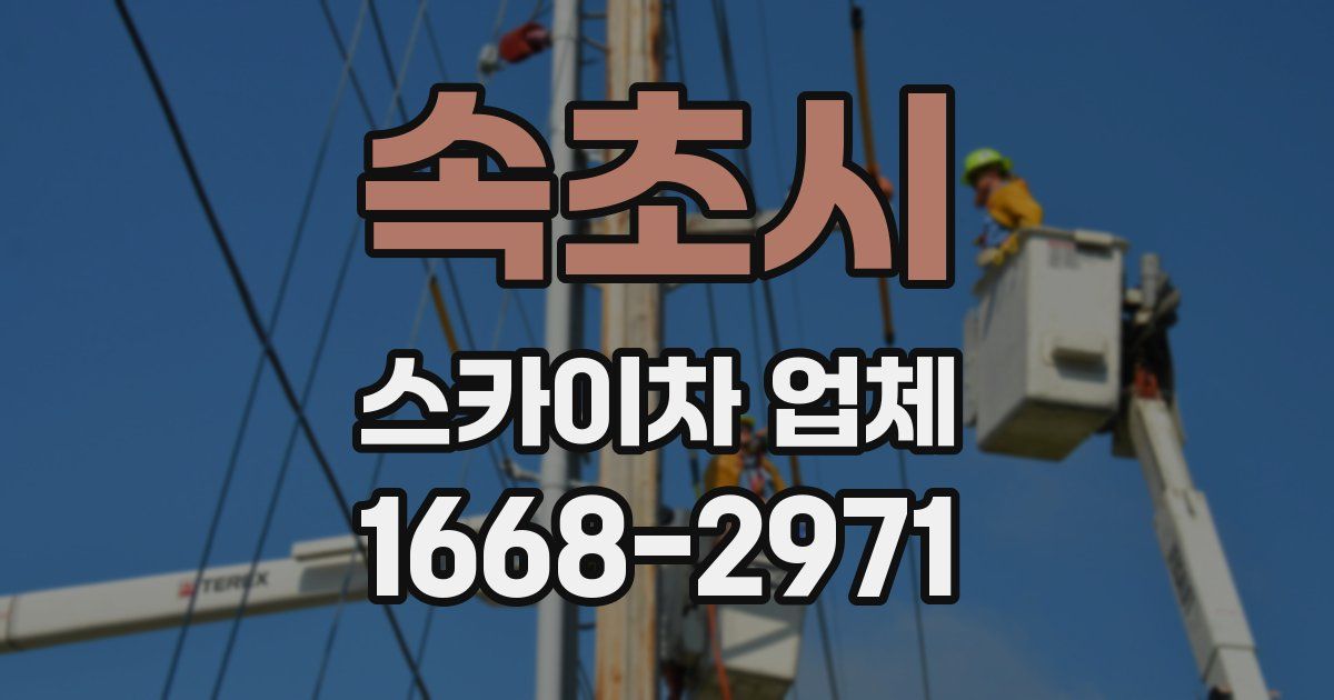 속초시 스카이차 업체