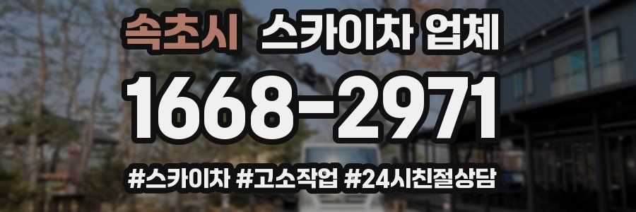 속초시 스카이차 업체