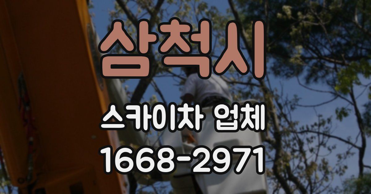 삼척시 스카이차 업체