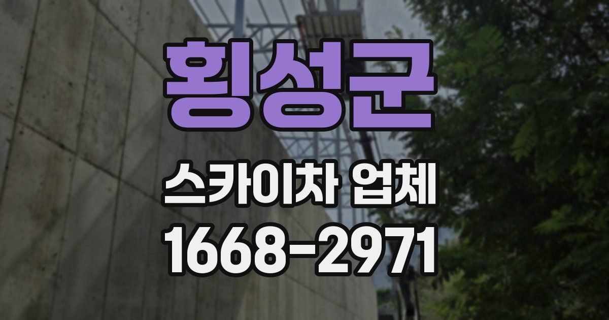 횡성군 스카이차 업체