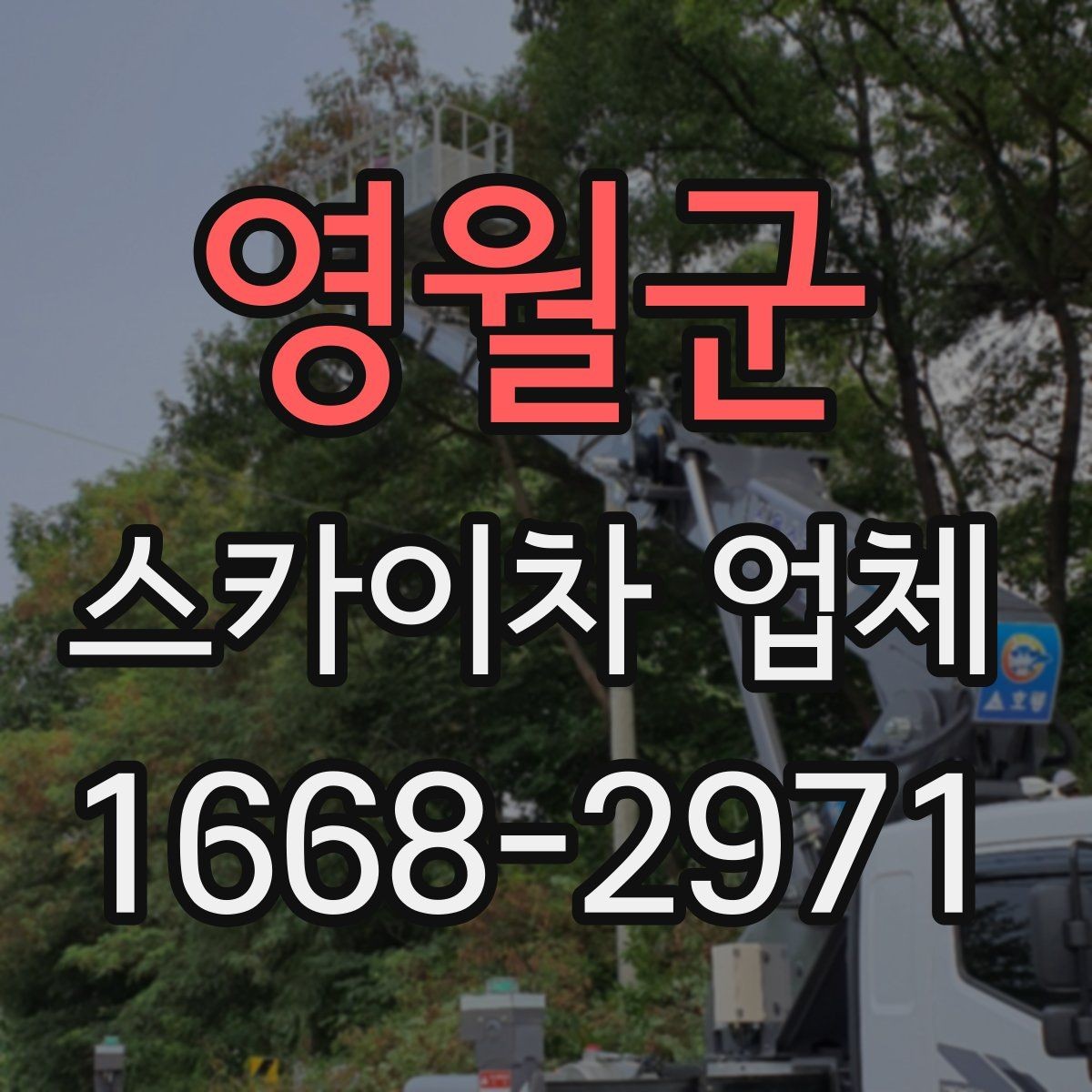 영월군 스카이차 업체 이용 전 배차 가능 여부 확인하기