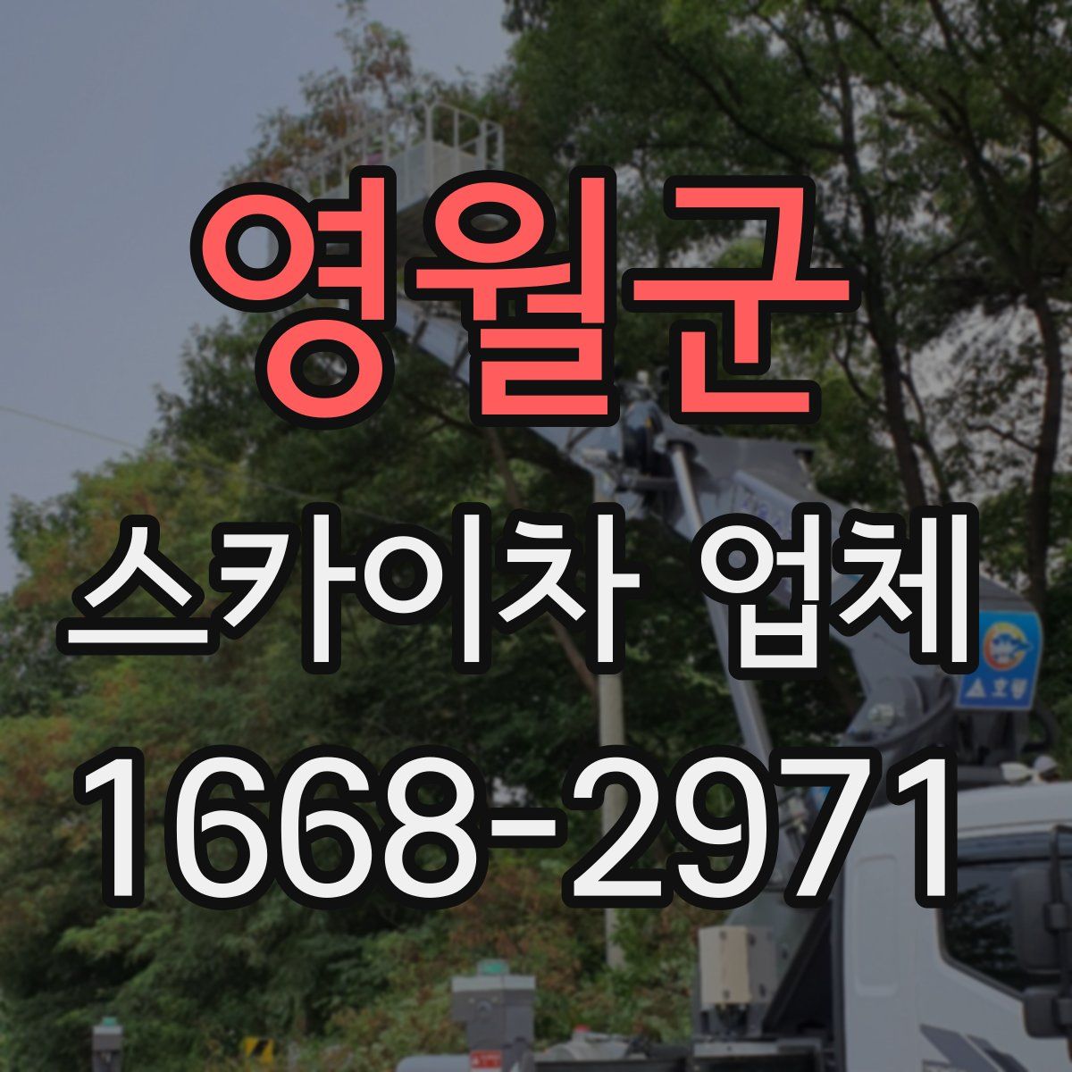 영월군 스카이차 업체