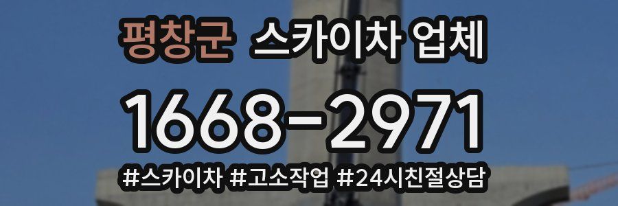 평창군 스카이차 업체