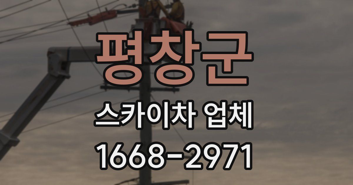 평창군 스카이차 업체