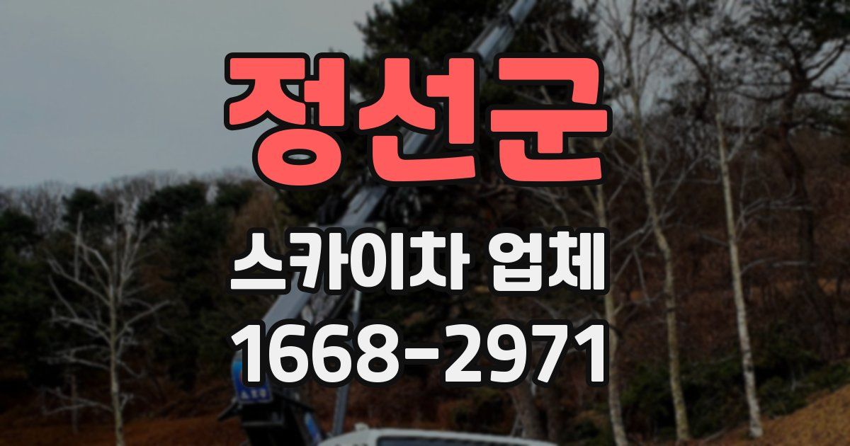 정선군 스카이차 업체
