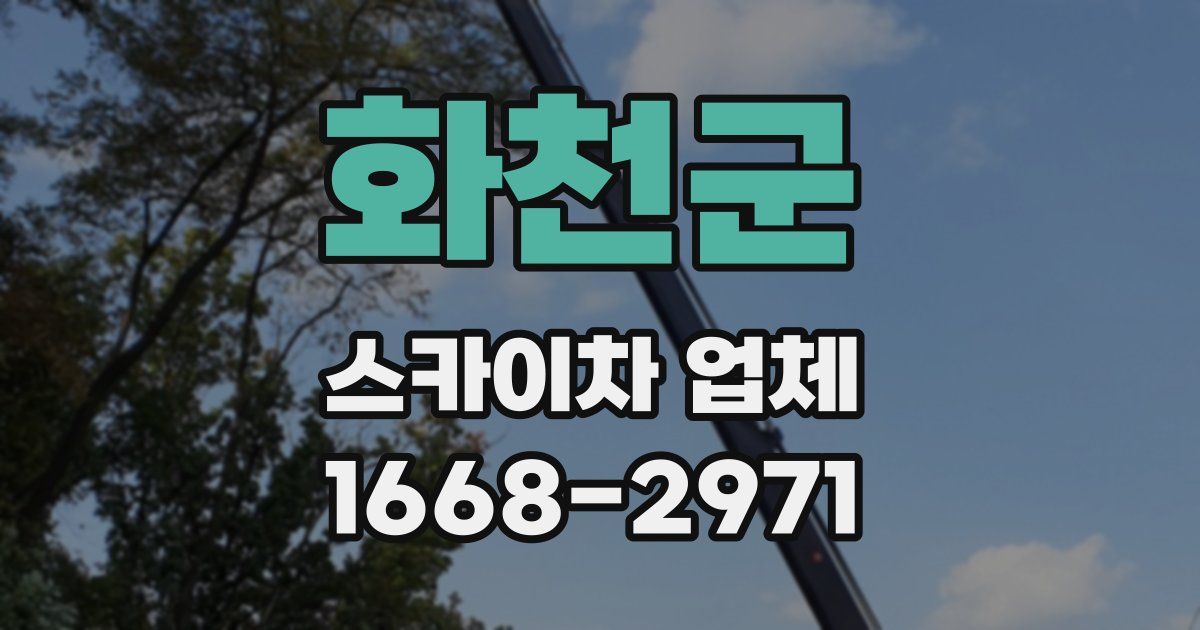 화천군 스카이차 업체