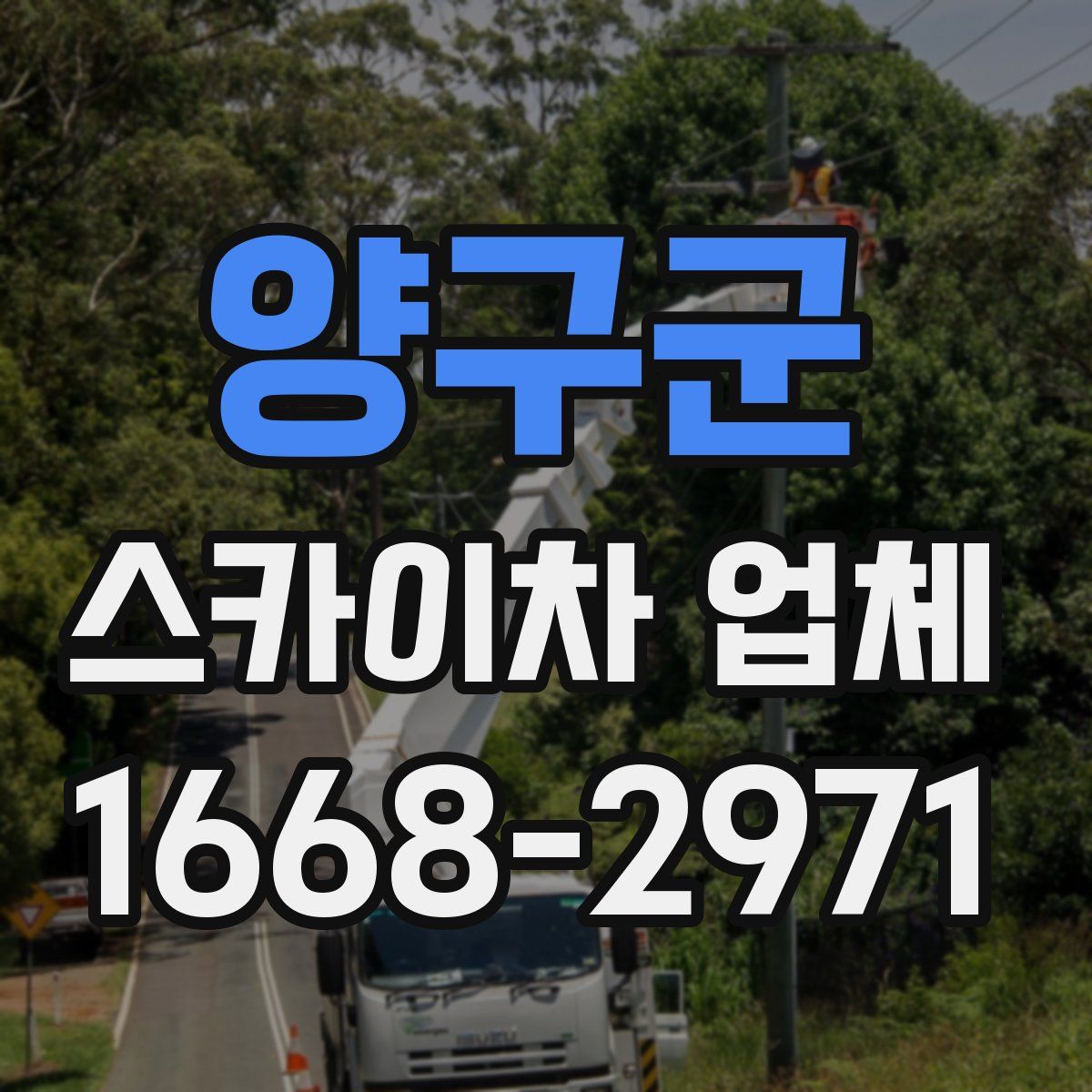 양구군 스카이차 업체