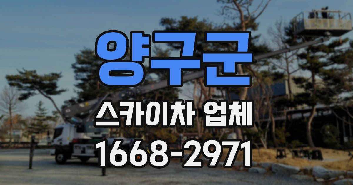 양구군 스카이차 업체