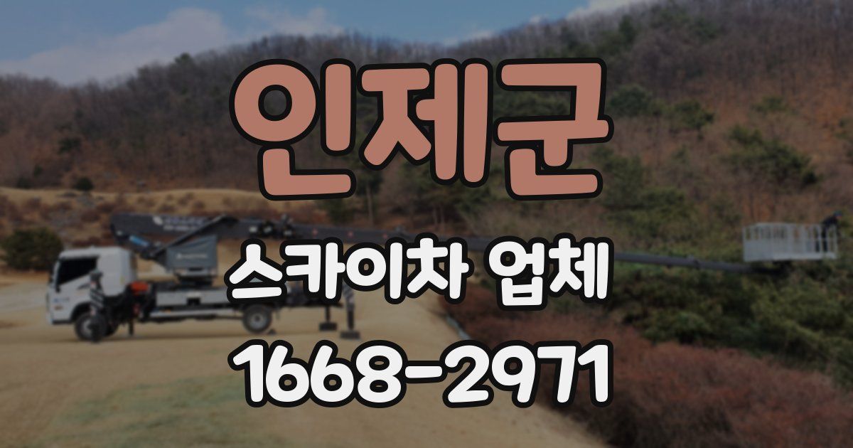 인제군 스카이차 업체