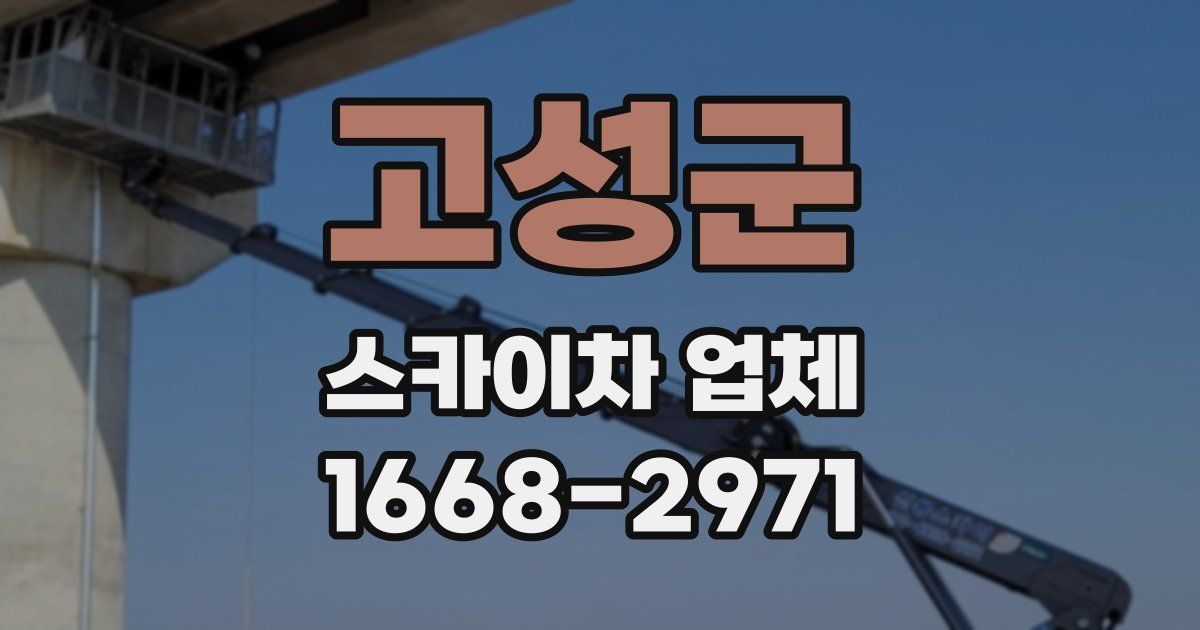 고성군 스카이차 업체