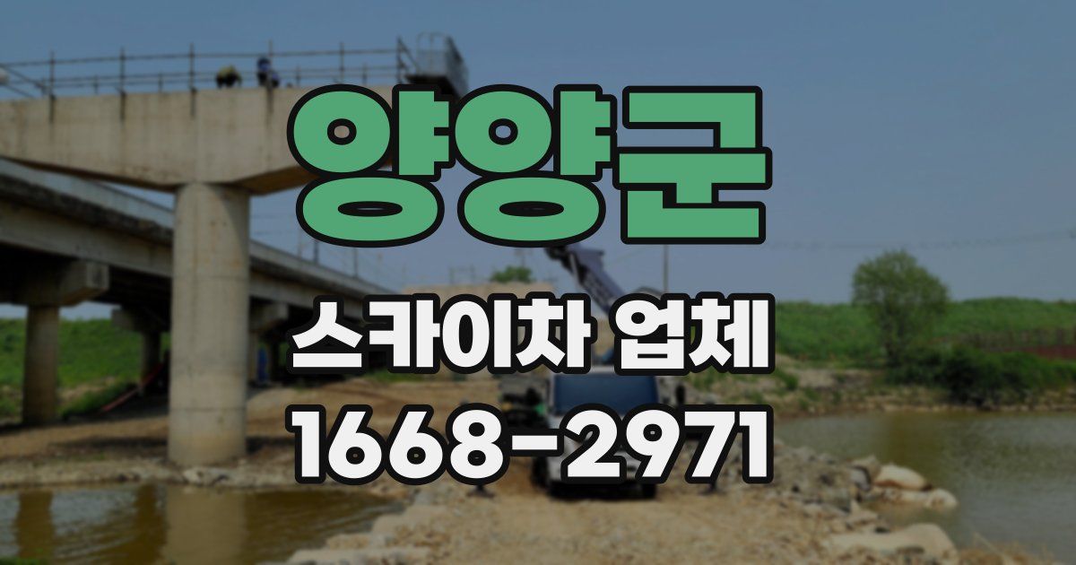 양양군 스카이차 업체