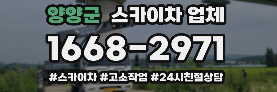양양군 스카이차 업체