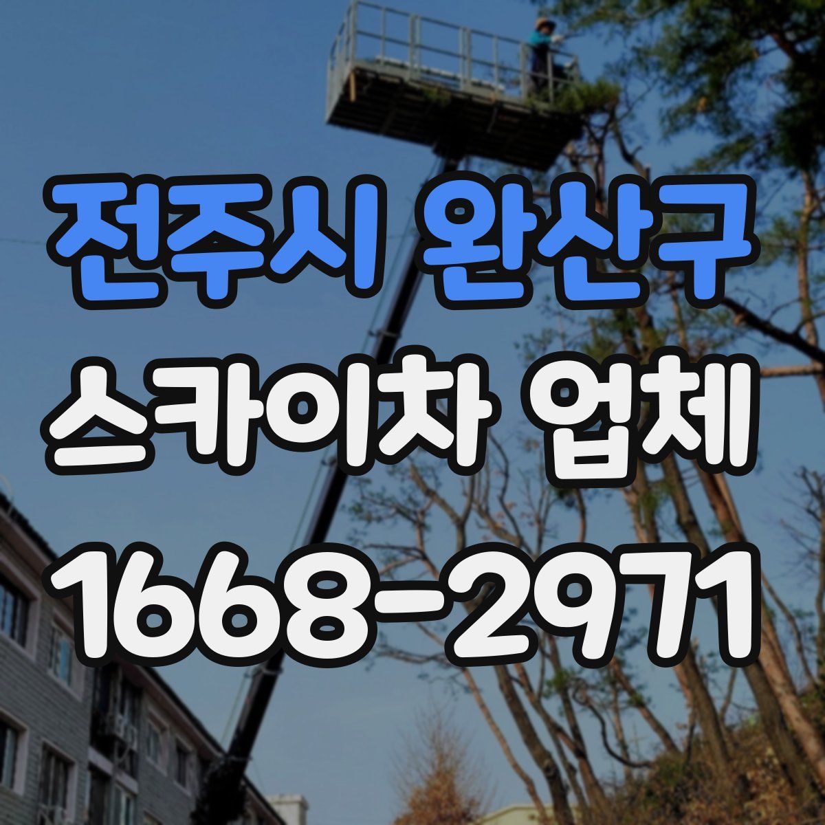 전주시 완산구 스카이차 업체