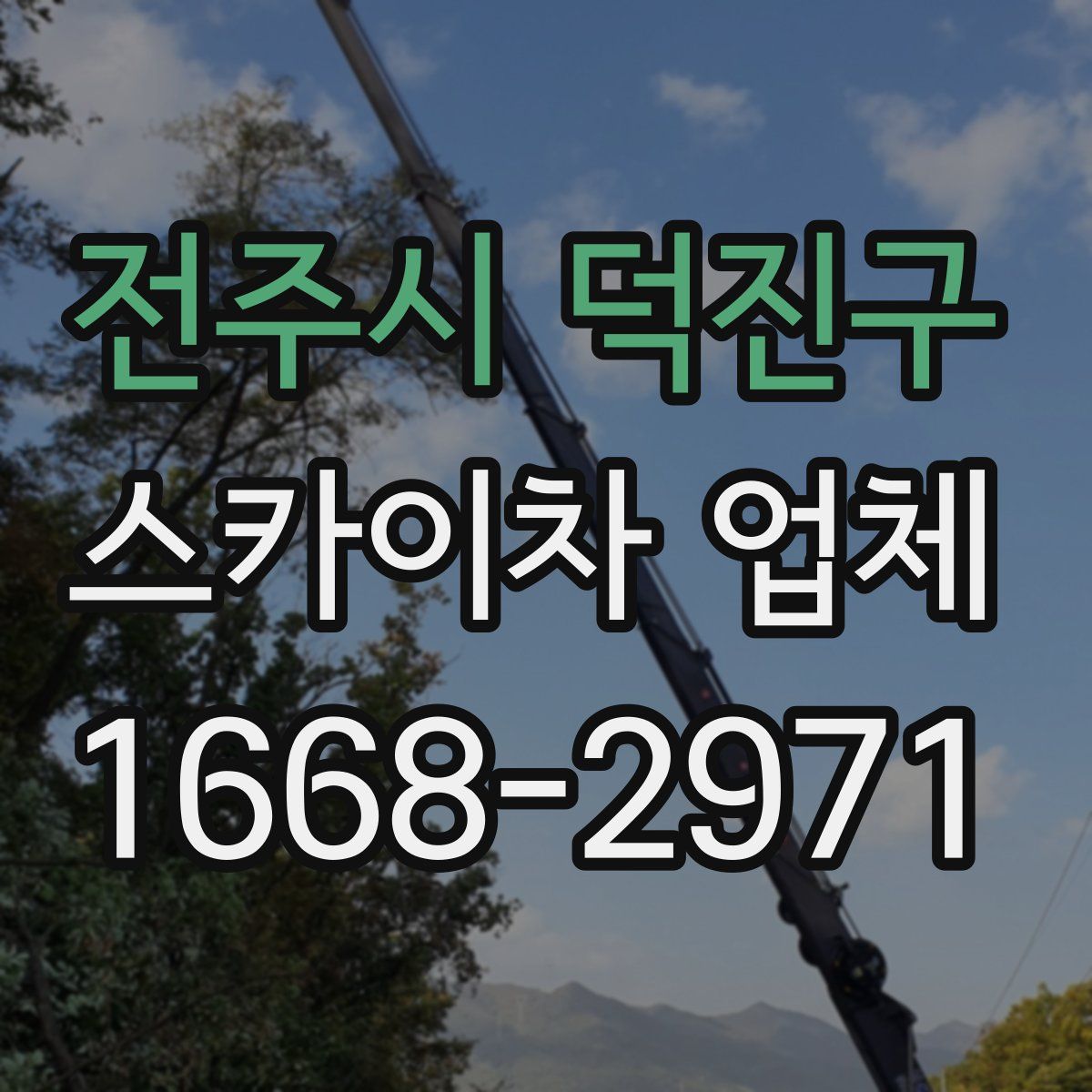 전주시 덕진구 스카이차 업체