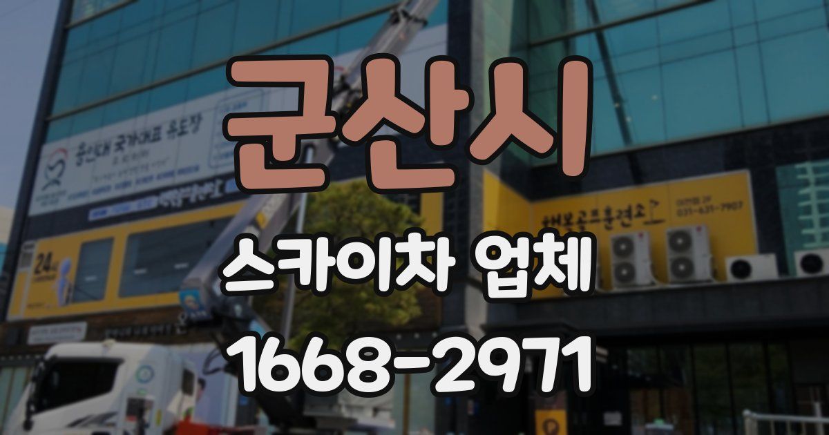 군산시 스카이차 업체