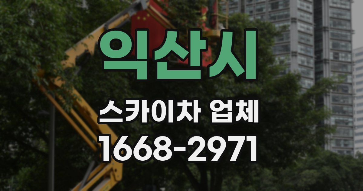 익산시 스카이차 업체