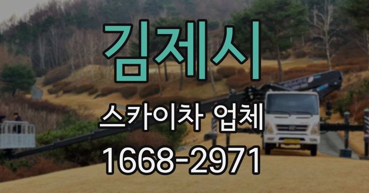 김제시 스카이차 업체