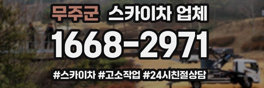 무주군 스카이차 업체