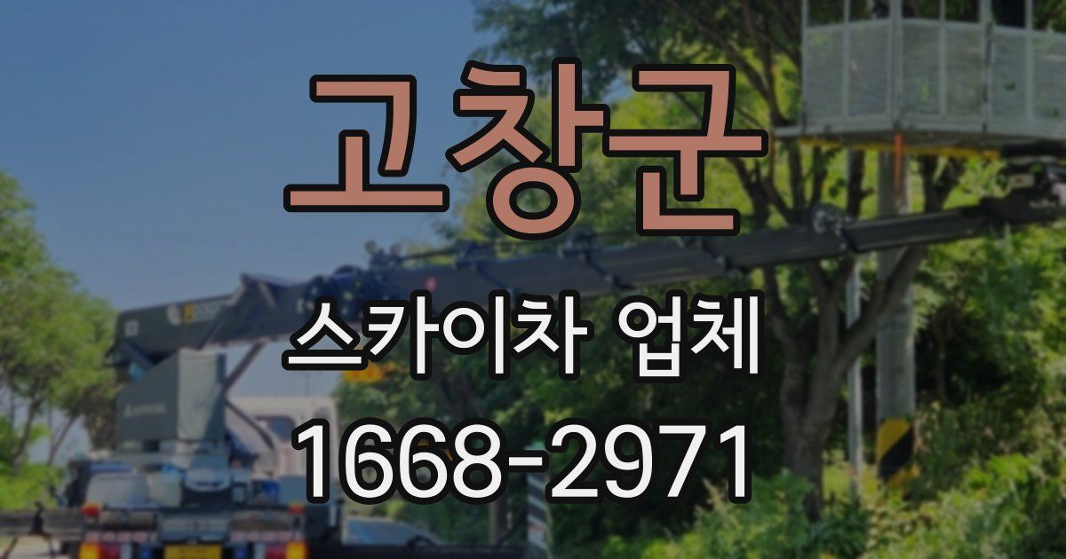 고창군 스카이차 업체