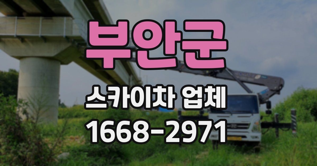 부안군 스카이차 업체