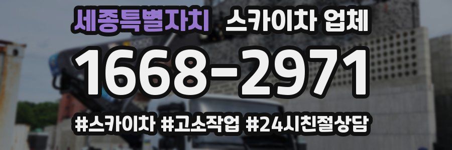세종특별자치 스카이차 업체