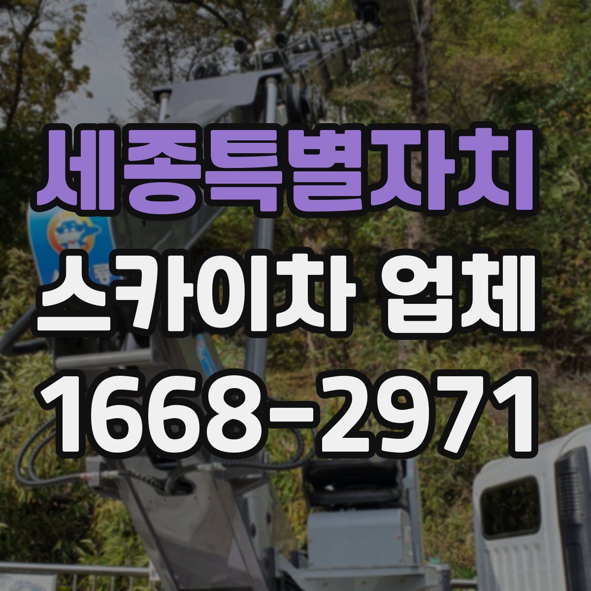 세종특별자치 스카이차 업체