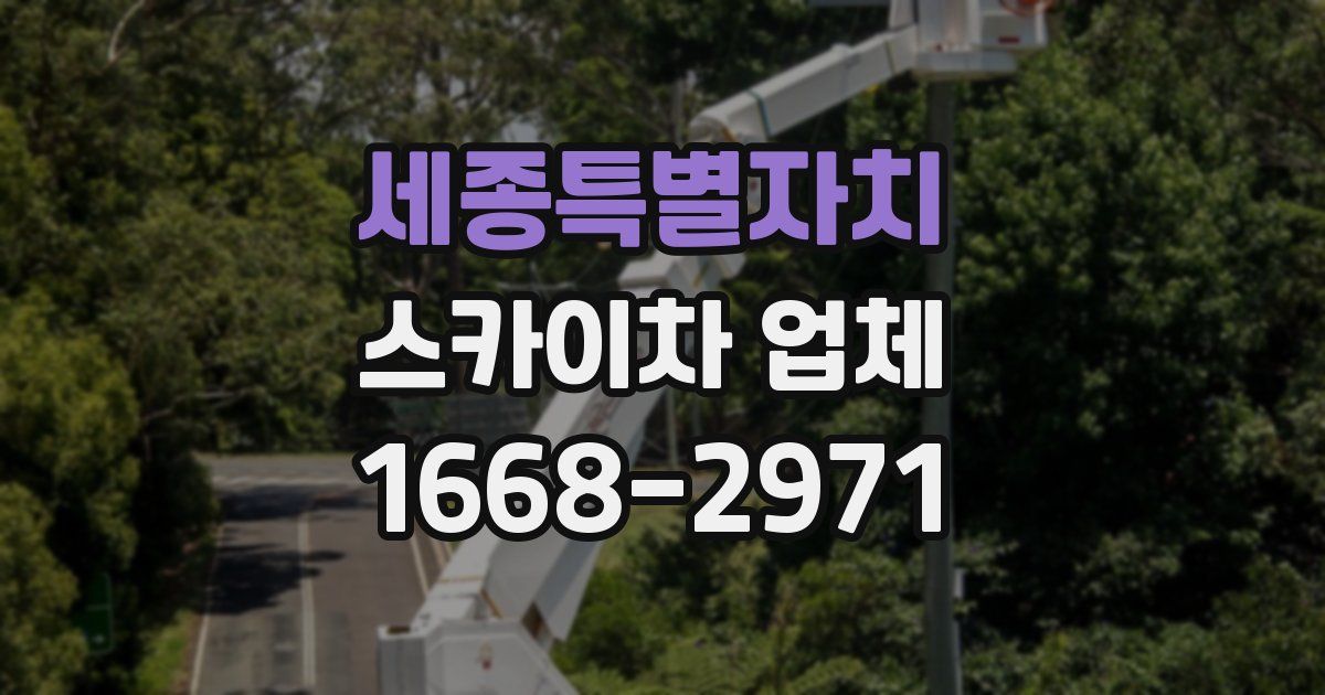 세종특별자치 스카이차 업체