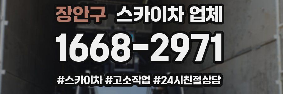 장안구 스카이차 업체