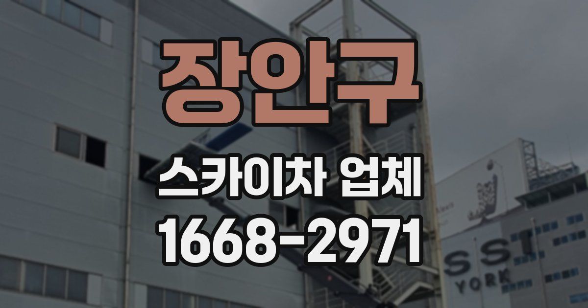 장안구 스카이차 업체