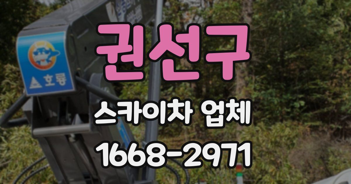 권선구 스카이차 업체
