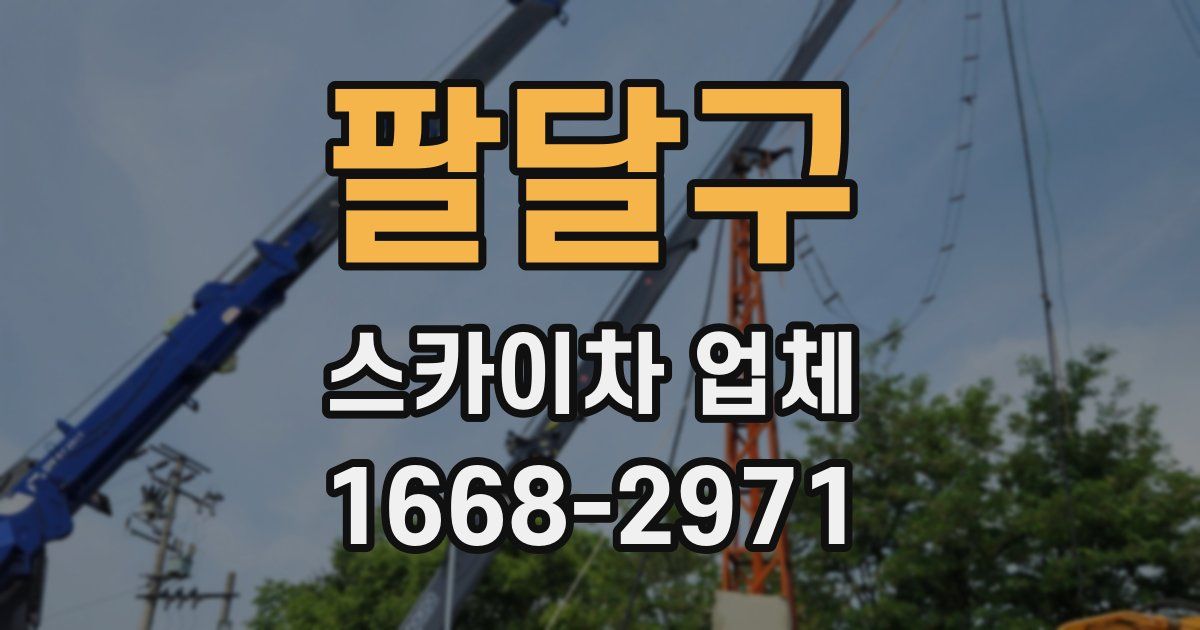 팔달구 스카이차 업체
