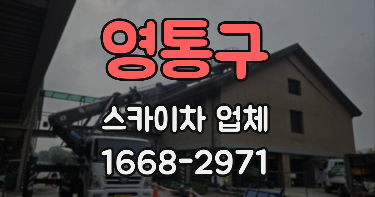 영통구 스카이차 업체