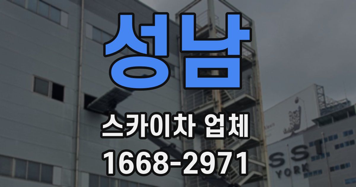성남 스카이차 업체
