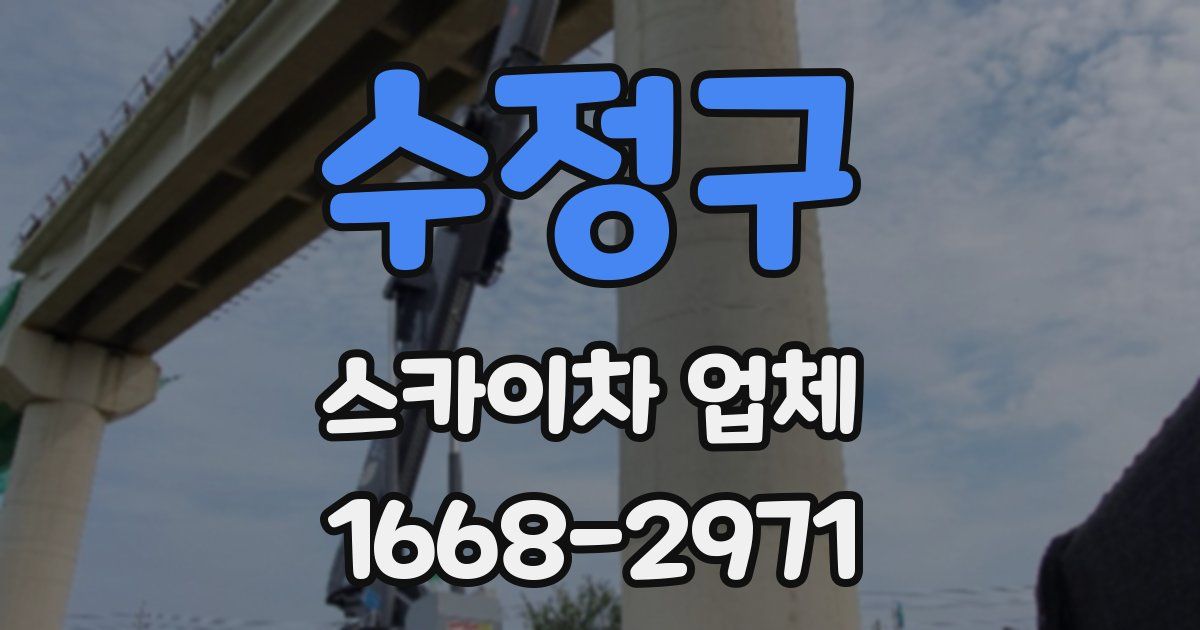 수정구 스카이차 업체