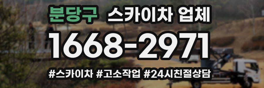 분당구 스카이차 업체